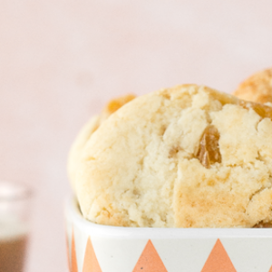 Biscuits aux Abricots