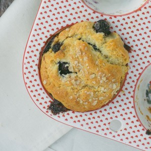 Zachte muffins met blauwe besjes