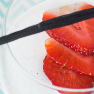 Panna cotta de fromage blanc